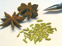 Звёздочка - это звездчатый анис (бадьян). Зелёные семена - это фенхель. (фото Феди Мухина)